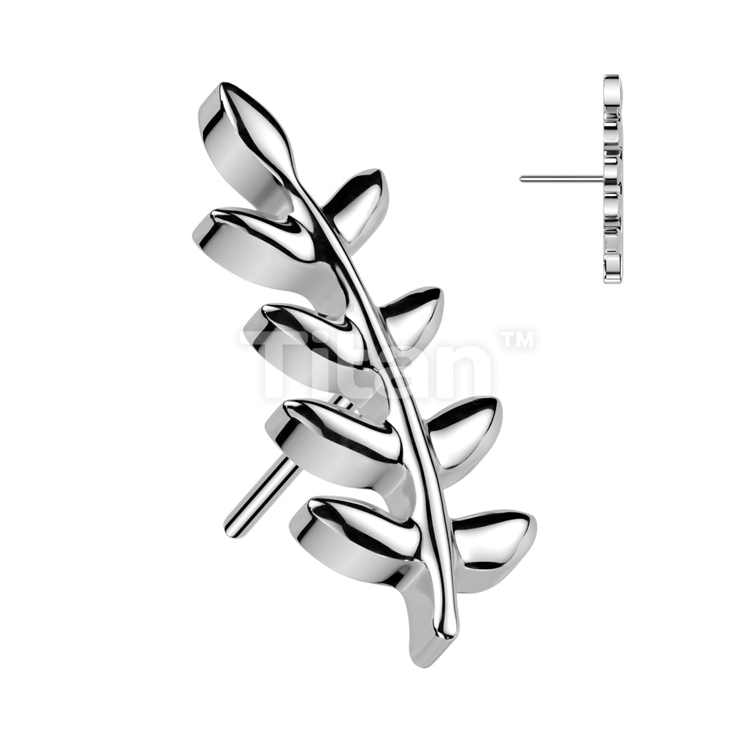 Implant Grade Titanium Threadless Push In Olive Leaf Top - Image 3