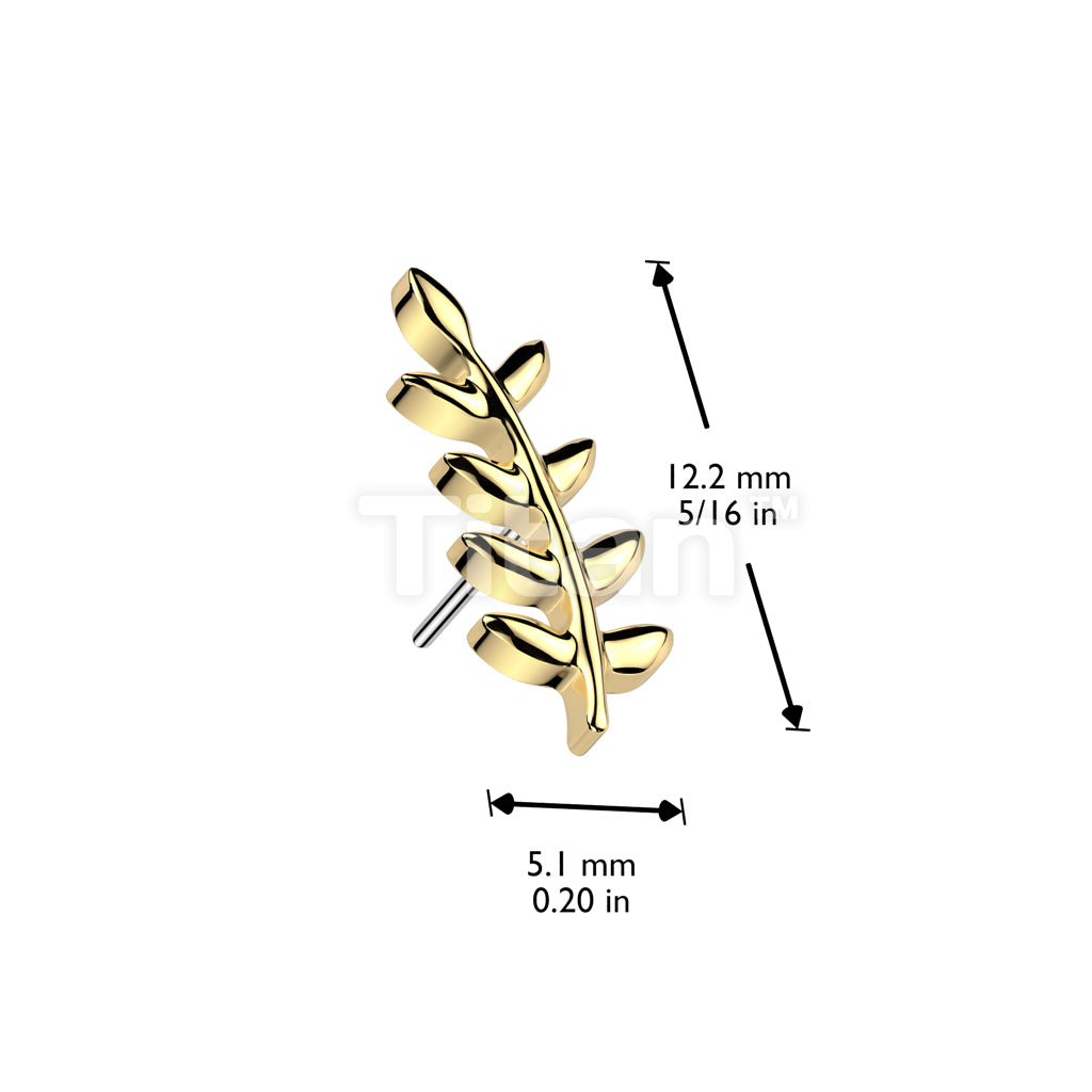 Implant Grade Titanium Threadless Push In Olive Leaf Top - Image 4