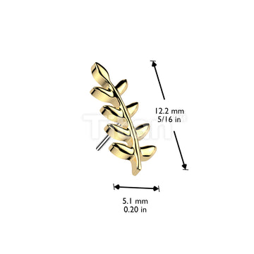 Implant Grade Titanium Threadless Push In Olive Leaf Top - Image 4