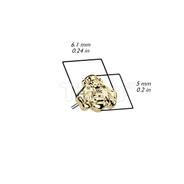 Implant Grade Titanium Threadless Push In Bee Top - Image 4