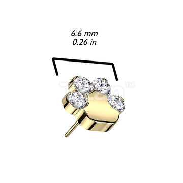 ASTM F136 Titanium Implant Grade Titanium Threadless Push In CZ Paw Top - Image 8
