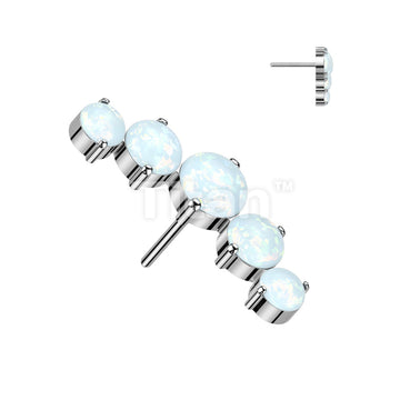 Implant Grade Titanium Threadless Push In 5 Round Opal Curved Top - Image 4