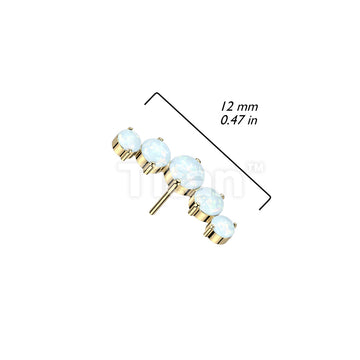 Implant Grade Titanium Threadless Push In 5 Round Opal Curved Top - Image 6