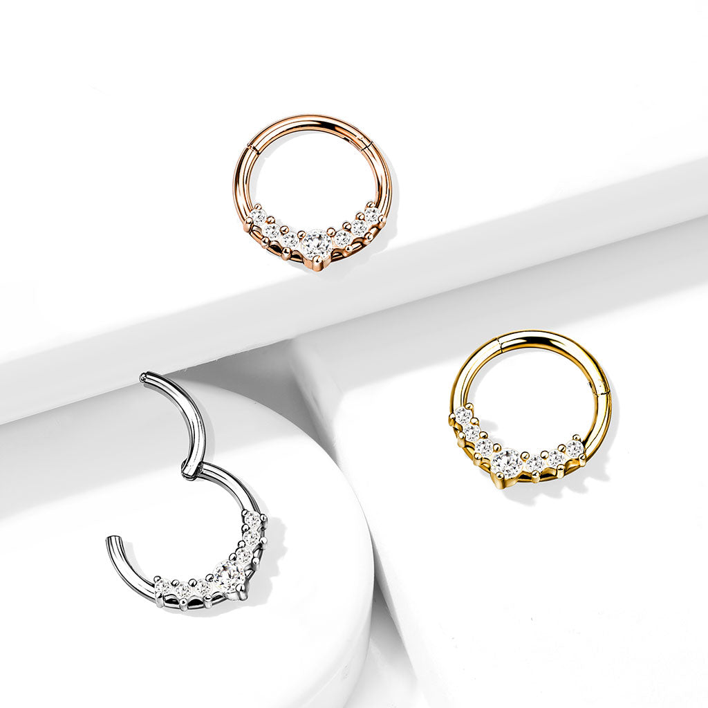 316L Surgical Steel 316L Surgical Steel Hinged Segment Hoop Ring With...