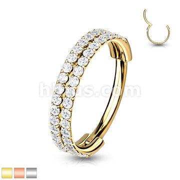 316L Surgical Steel High Quality Precision All 316L Hinged Segment Hoop... - Image 2