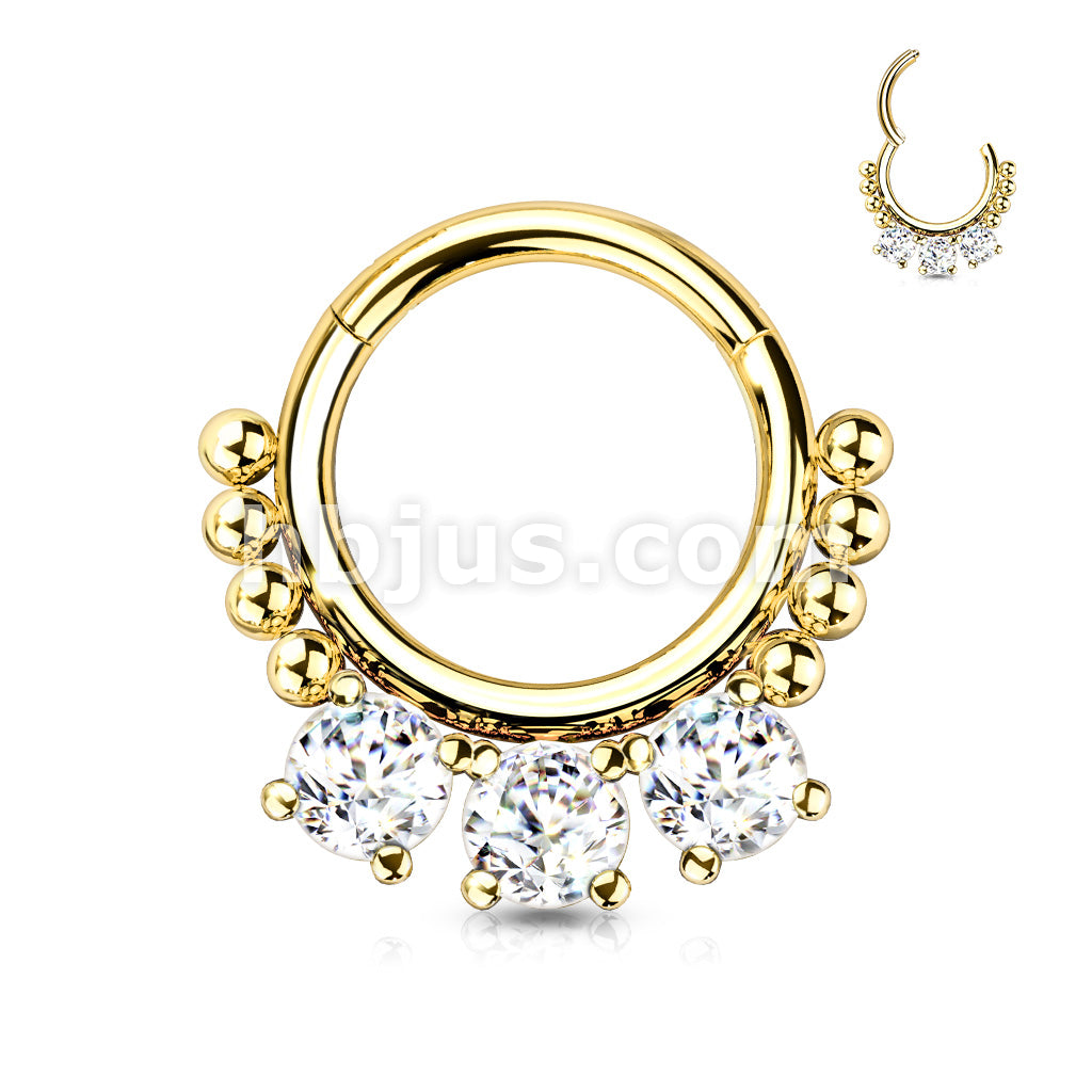 High Quality Precision All 316L Surgical Steel Hinged Segment Hoop Ring... - Image 4
