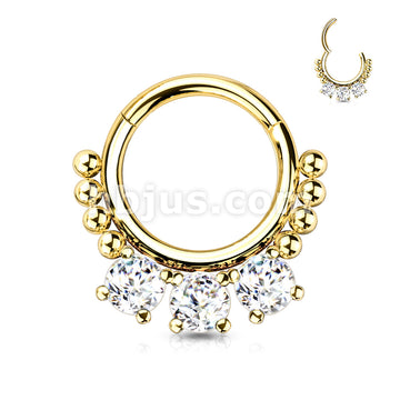 High Quality Precision All 316L Surgical Steel Hinged Segment Hoop Ring... - Image 4