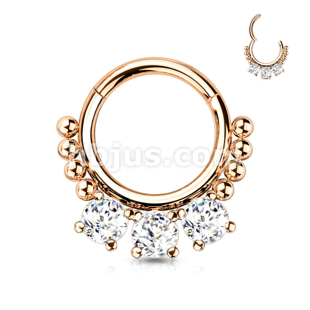 High Quality Precision All 316L Surgical Steel Hinged Segment Hoop Ring... - Image 6