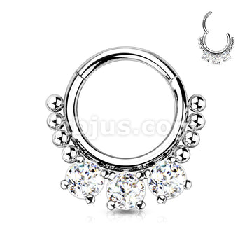 High Quality Precision All 316L Surgical Steel Hinged Segment Hoop Ring... - Image 3