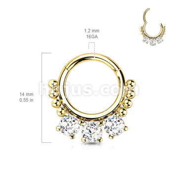High Quality Precision All 316L Surgical Steel Hinged Segment Hoop Ring... - Image 7