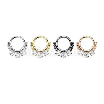 High Quality Precision All 316L Surgical Steel Hinged Segment Hoop Ring... - Image 8