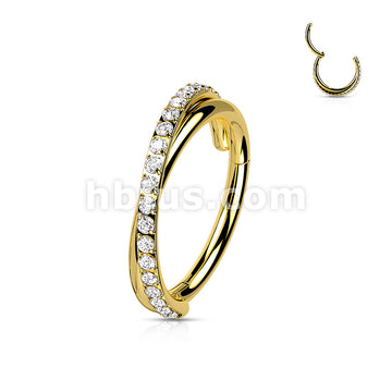 High Quality Precision All 316L Surgical Steel Hinged Segment with... - Image 4