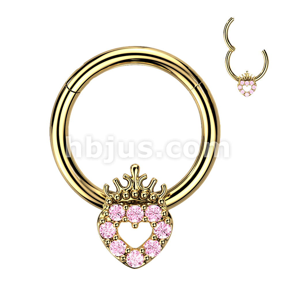 High Quality Precision 316L Surgical Steel Hinged Segment Ring with CZ... - Image 3