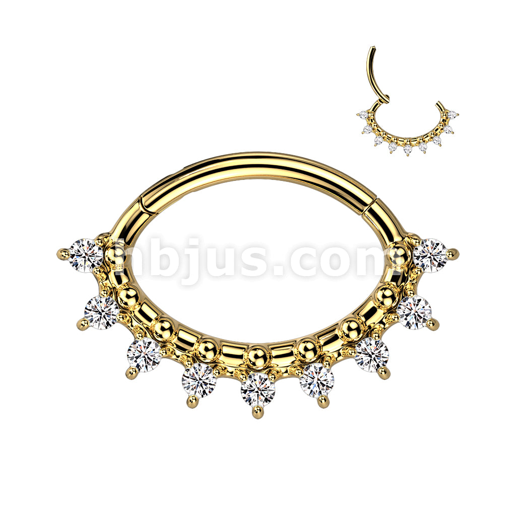 High Quality Precision 316L Surgical Steel Oval Hinged Segment Ring... - Image 3