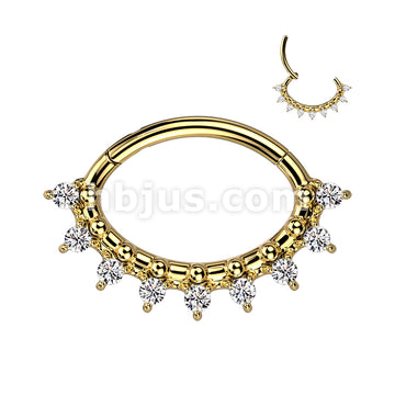High Quality Precision 316L Surgical Steel Oval Hinged Segment Ring... - Image 3