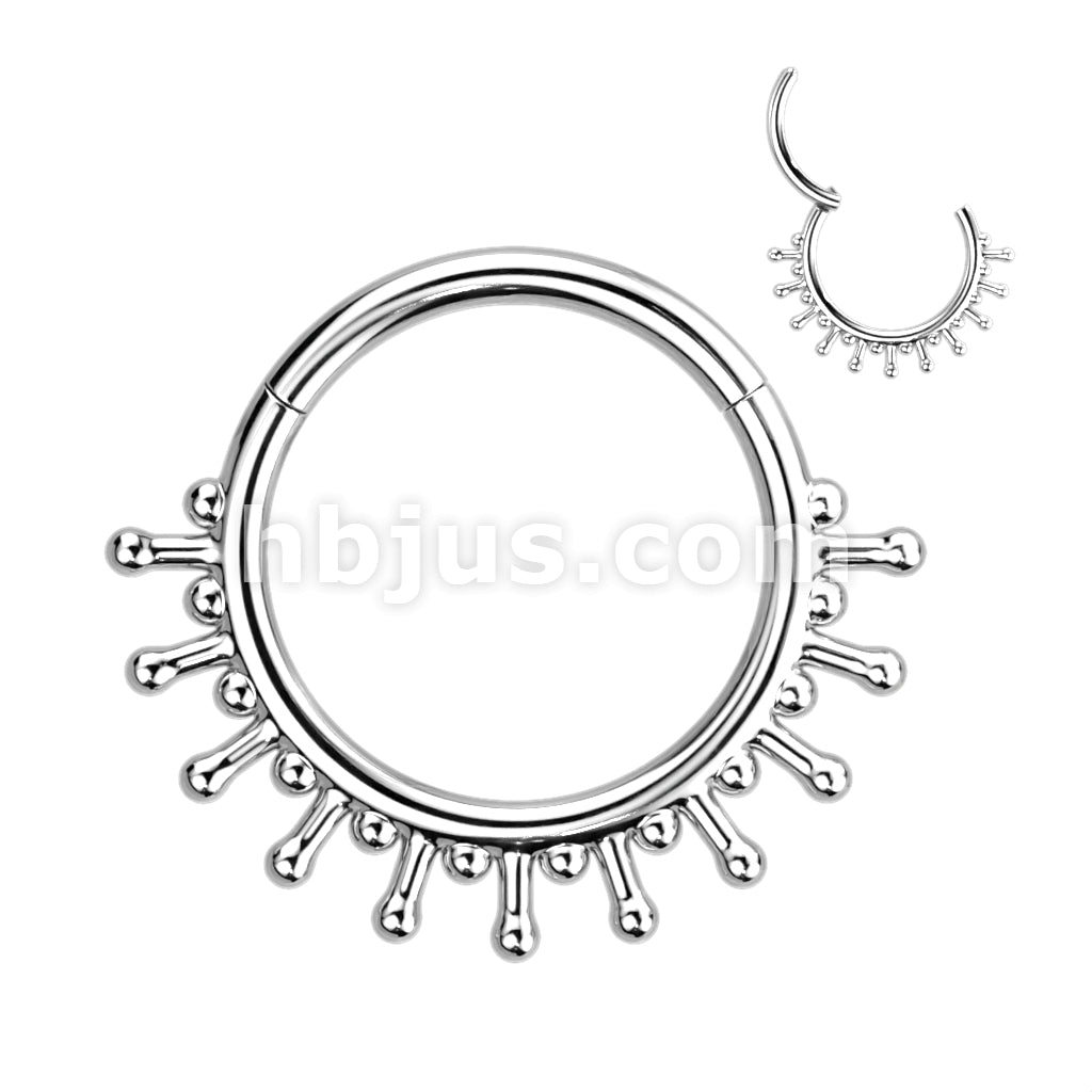 High Quality Precision 316L Surgical Steel Hinged Segment Ring with... - Image 4