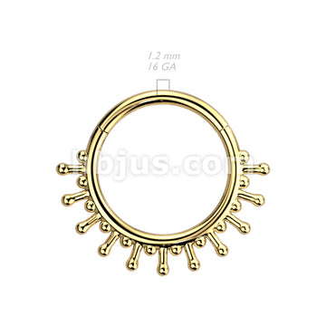 High Quality Precision 316L Surgical Steel Hinged Segment Ring with... - Image 5
