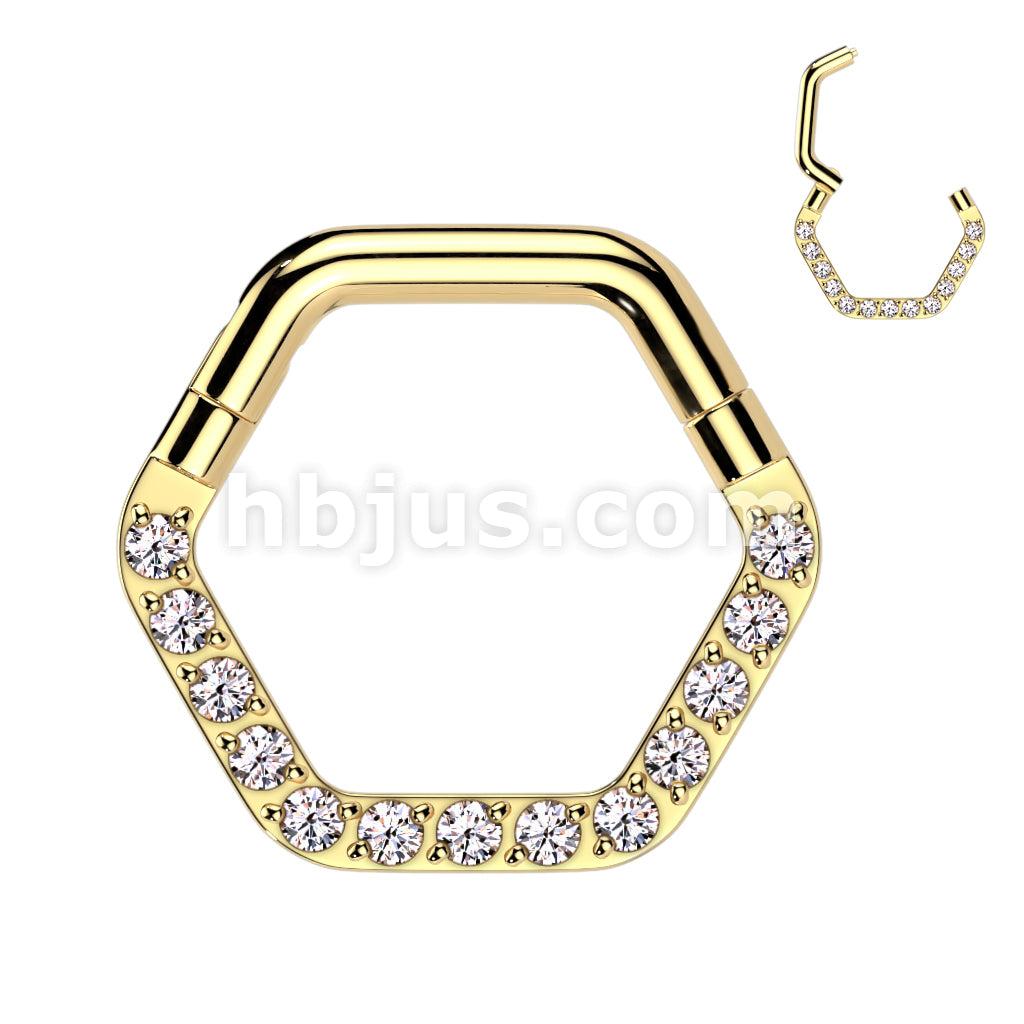 High Quality Precision All 316L Surgical Steel Hinged Hexagon Segment... - Image 3