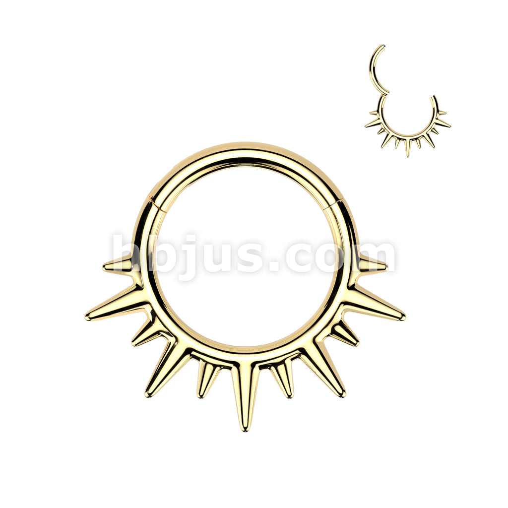 High Quality Precision All 316L Surgical Steel Spikes Hinged Segment... - Image 2