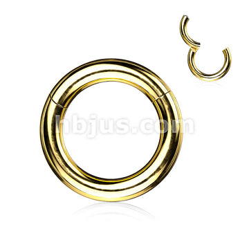 316L Surgical Steel Large Gauge Hinged Clicker Segment Ring. New... - Image 2