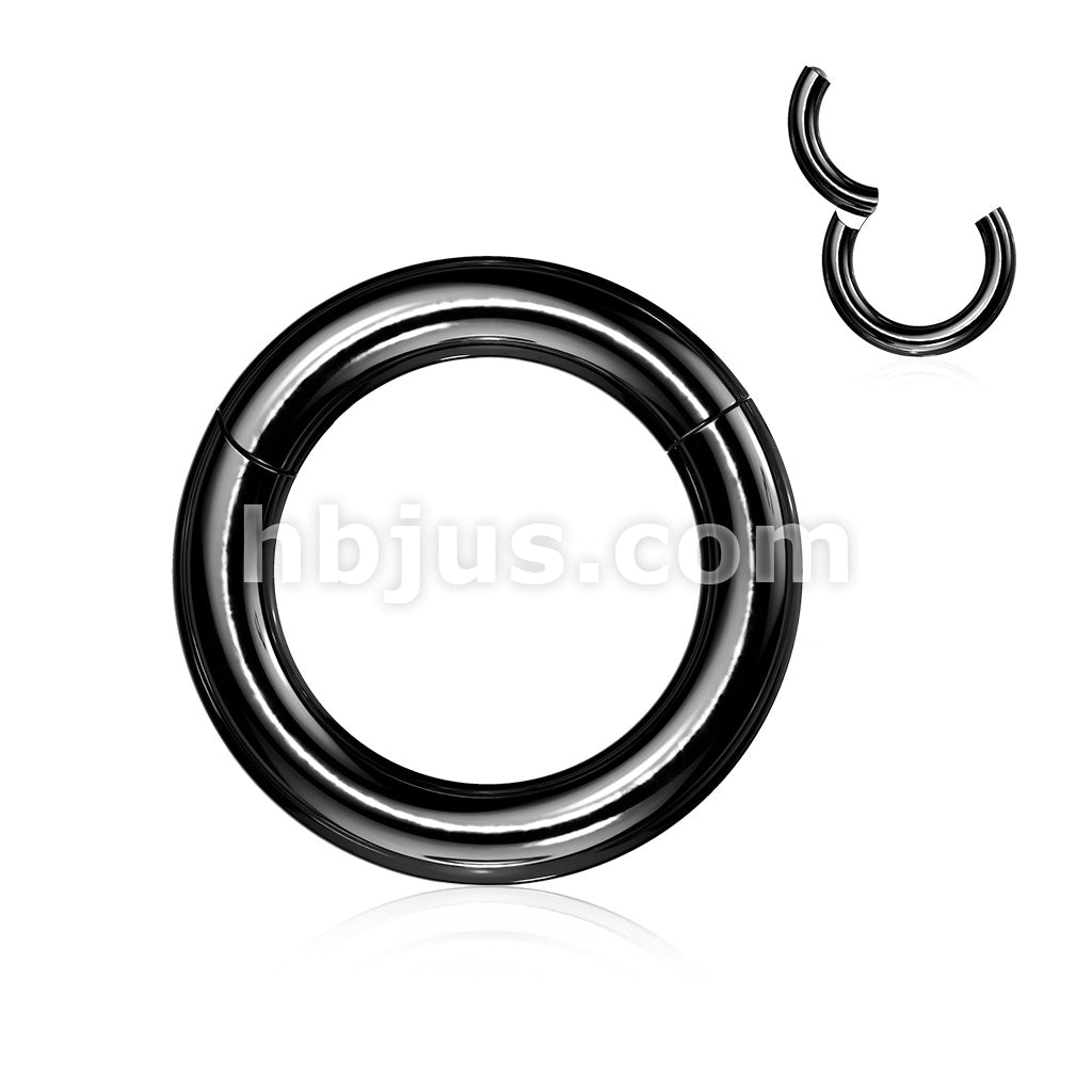 316L Surgical Steel Large Gauge Hinged Clicker Segment Ring. New... - Image 3