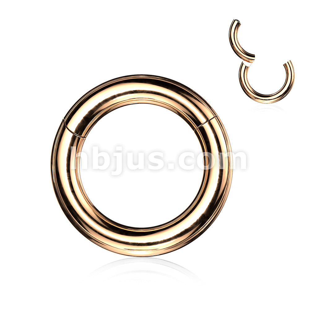 316L Surgical Steel Large Gauge Hinged Clicker Segment Ring. New... - Image 4
