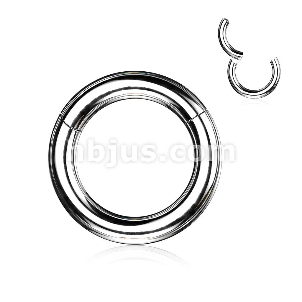 316L Surgical Steel Large Gauge Hinged Clicker Segment Ring. New... - Image 5