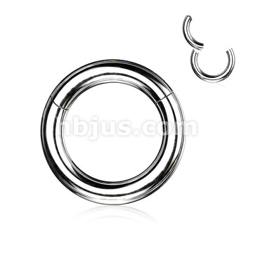 316L Surgical Steel Large Gauge Hinged Clicker Segment Ring. New... - Image 5