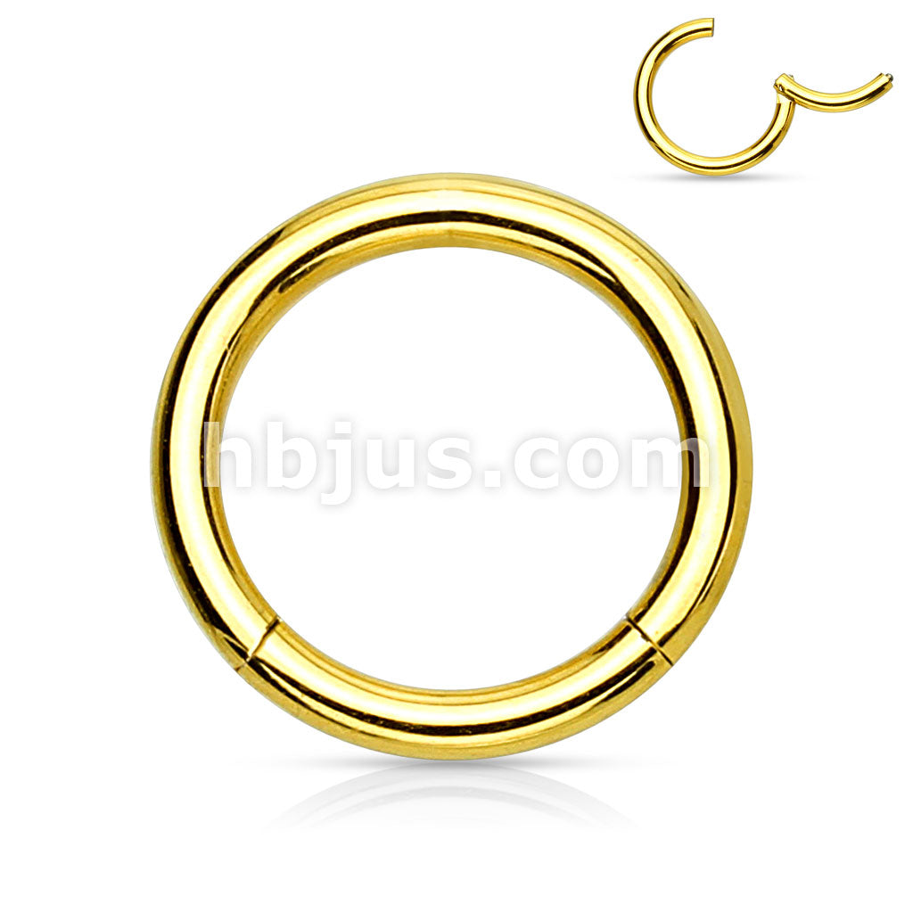 PVD OverHigh Quality Precision 316L Surgical Steel Hinged Segment Hoop... - Image 6