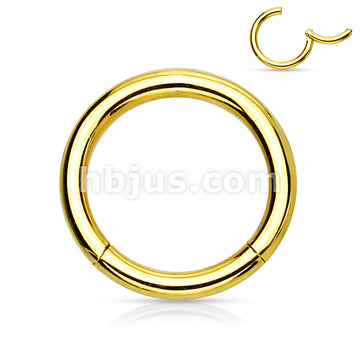 PVD OverHigh Quality Precision 316L Surgical Steel Hinged Segment Hoop... - Image 6