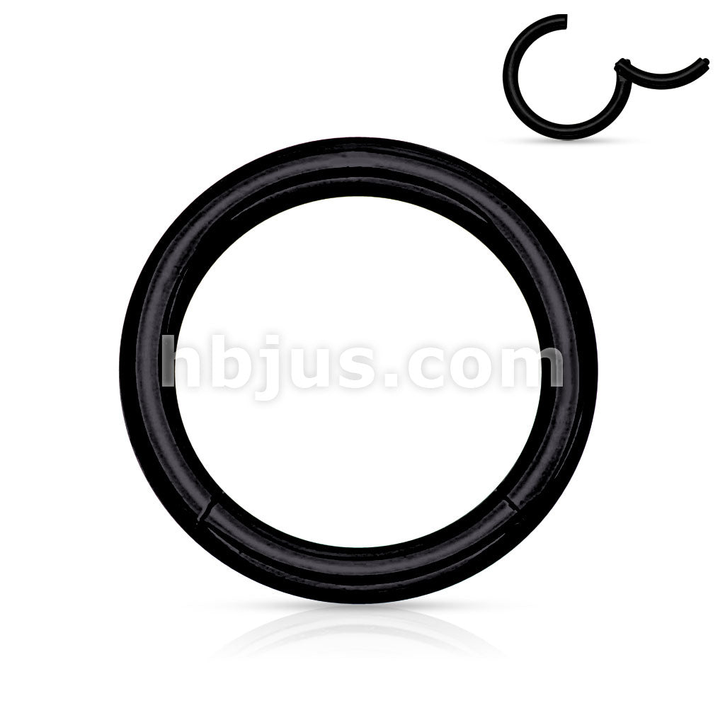 PVD OverHigh Quality Precision 316L Surgical Steel Hinged Segment Hoop... - Image 7