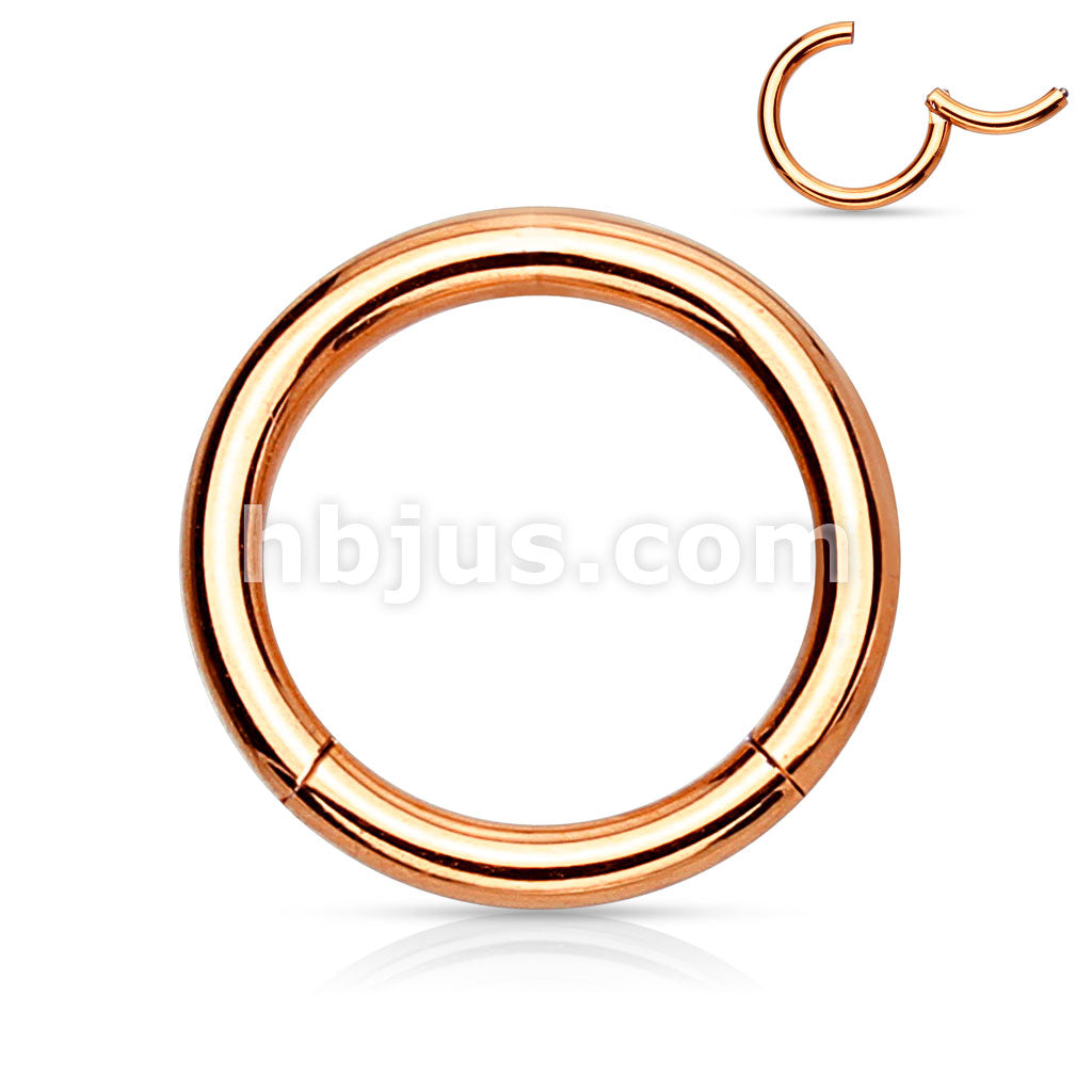 PVD OverHigh Quality Precision 316L Surgical Steel Hinged Segment Hoop... - Image 8