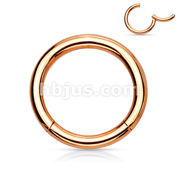 PVD OverHigh Quality Precision 316L Surgical Steel Hinged Segment Hoop... - Image 8