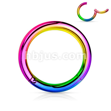 PVD OverHigh Quality Precision 316L Surgical Steel Hinged Segment Hoop... - Image 9
