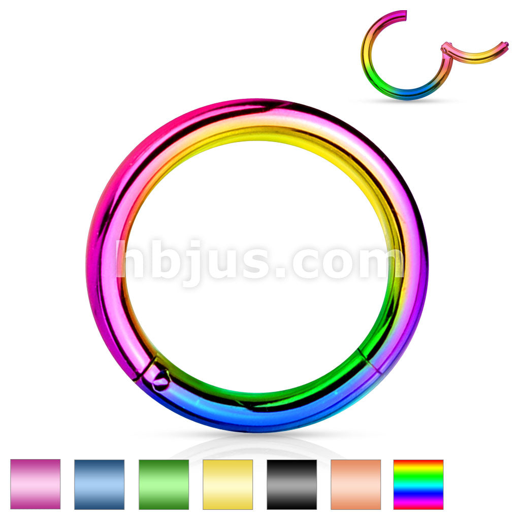 PVD OverHigh Quality Precision 316L Surgical Steel Hinged Segment Hoop... - Image 2