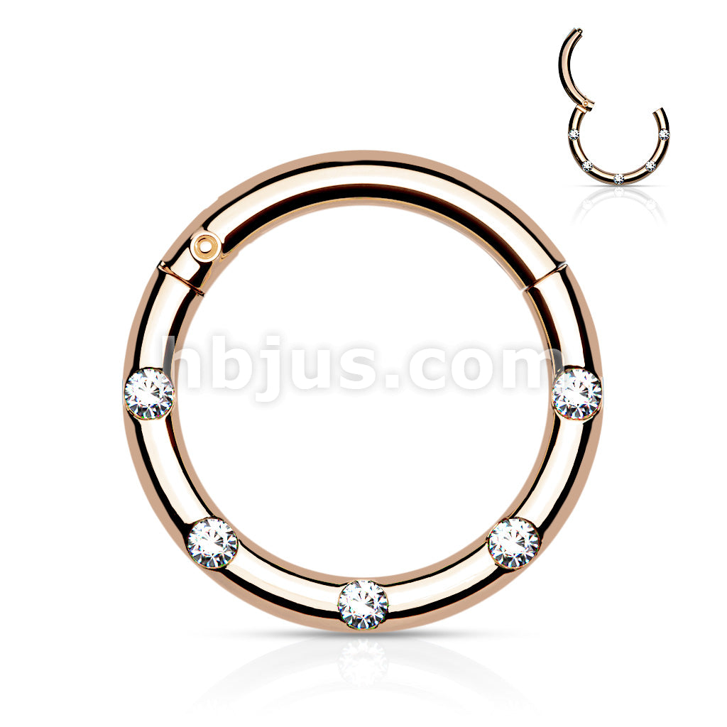 316L Surgical Steel Hinged Segment Hoop Rings with 5 Flush Set Front... - Image 5