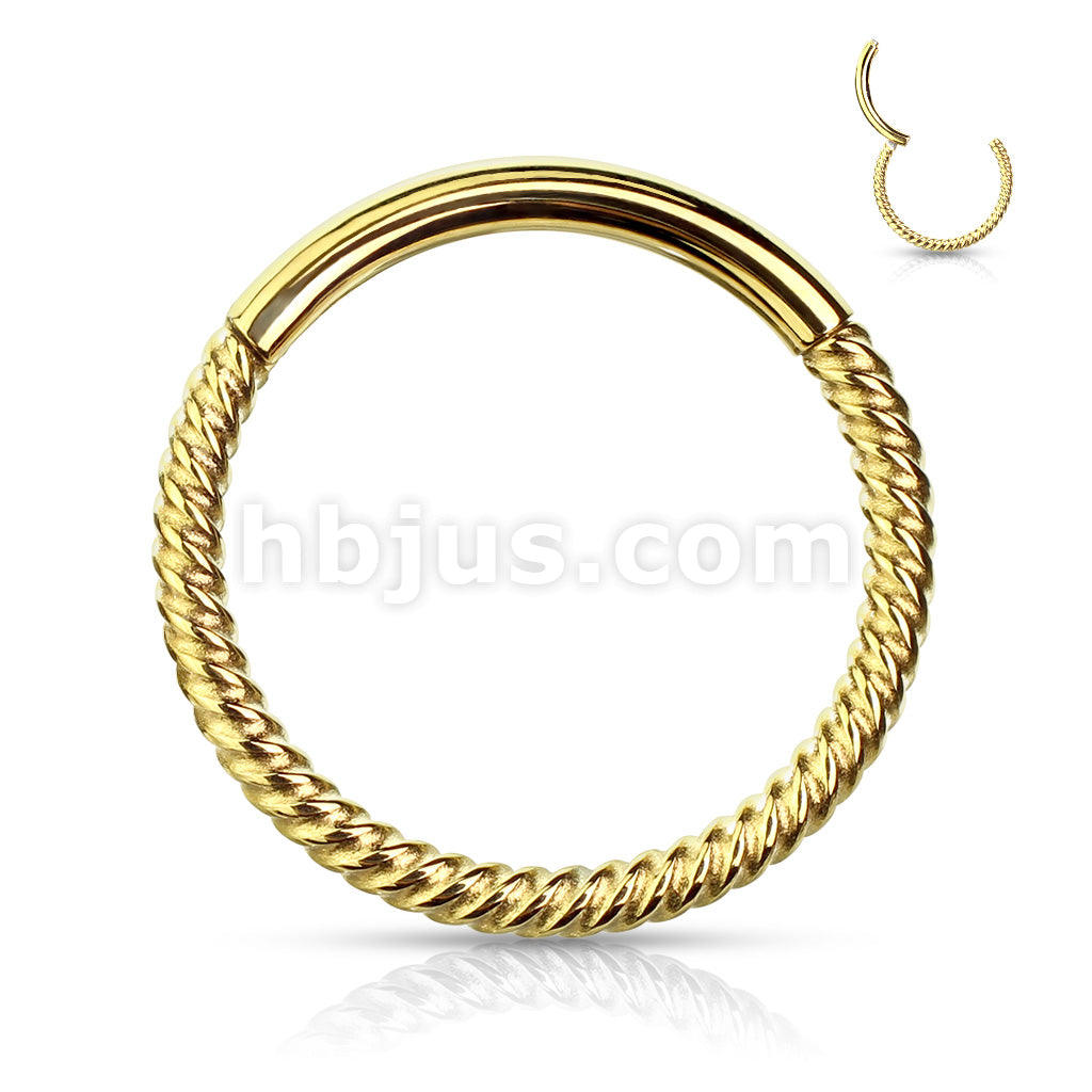 High Quality Precision All 316L Surgical Steel Hinged Segment Hoop... - Image 3