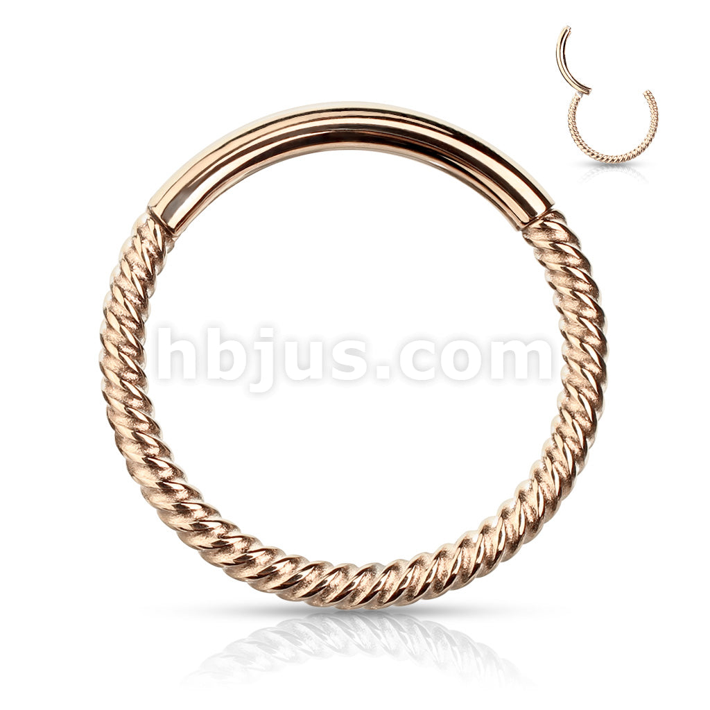 High Quality Precision All 316L Surgical Steel Hinged Segment Hoop... - Image 5