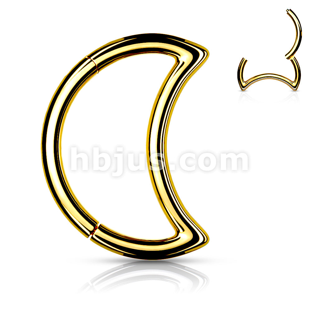 High Quality Precision All 316L Surgical Steel Crescent Hinged Segment... - Image 3