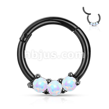 High Quality Precision 3-Opa Set All 316L Surgical Steel Hinged Segment... - Image 4