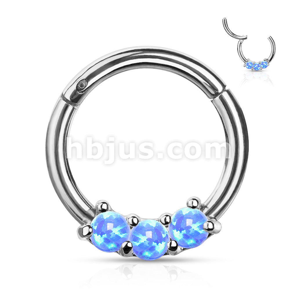High Quality Precision 3-Opa Set All 316L Surgical Steel Hinged Segment... - Image 5