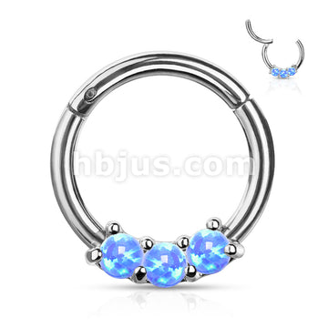 High Quality Precision 3-Opa Set All 316L Surgical Steel Hinged Segment... - Image 5
