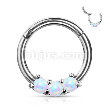 High Quality Precision 3-Opa Set All 316L Surgical Steel Hinged Segment... - Image 6