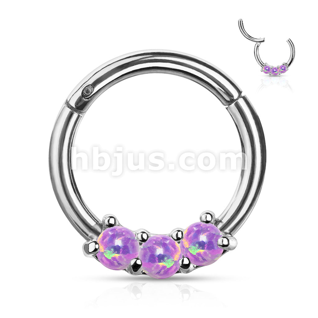 High Quality Precision 3-Opa Set All 316L Surgical Steel Hinged Segment... - Image 7