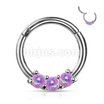 High Quality Precision 3-Opa Set All 316L Surgical Steel Hinged Segment... - Image 7