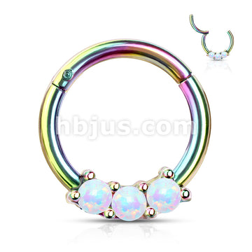 High Quality Precision 3-Opa Set All 316L Surgical Steel Hinged Segment... - Image 9