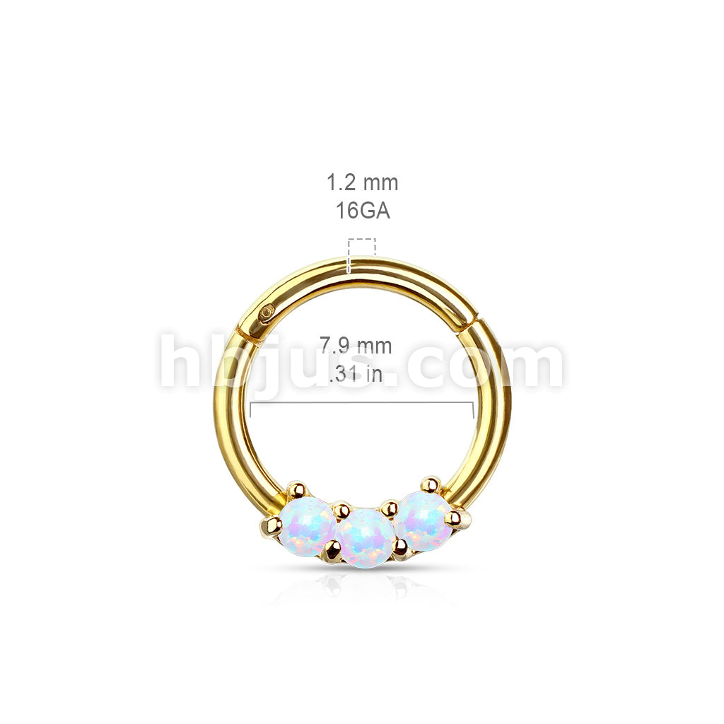 High Quality Precision 3-Opa Set All 316L Surgical Steel Hinged Segment... - Image 10