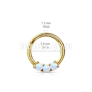 High Quality Precision 3-Opa Set All 316L Surgical Steel Hinged Segment... - Image 10