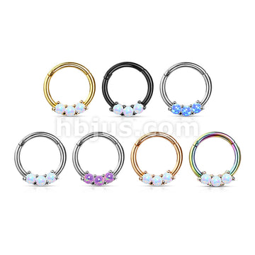 High Quality Precision 3-Opa Set All 316L Surgical Steel Hinged Segment... - Image 11