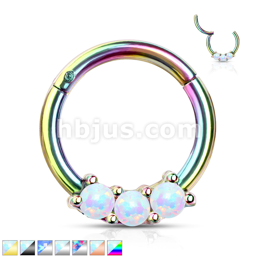 High Quality Precision 3-Opa Set All 316L Surgical Steel Hinged Segment... - Image 2
